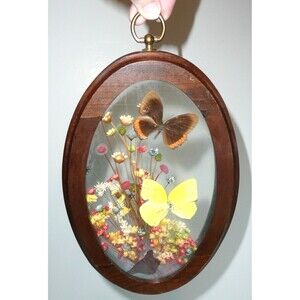 Oval Framed Dried Flowers Butterflies VTG Brazilia Collection Dunston Brazil